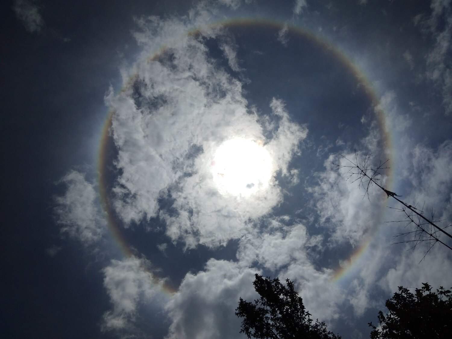 Life like a Rainbow.