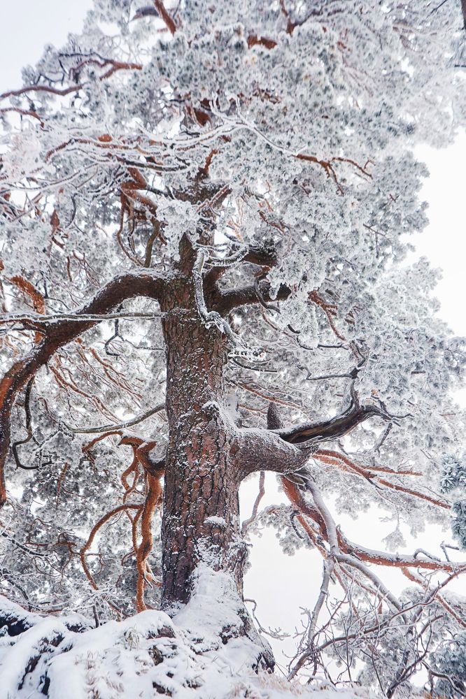 Photograph by Наталия Кирсанова