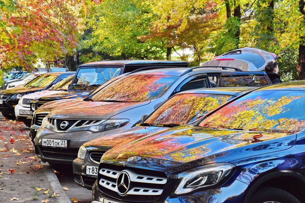 Фотография автора лилия беланова