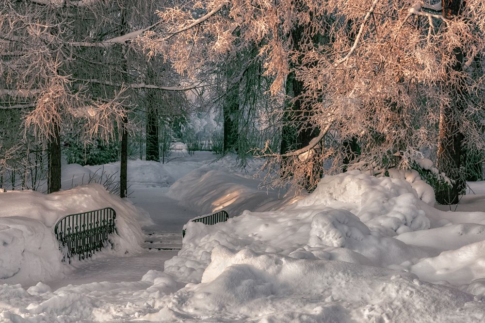 Photograph by Александр Никитинский