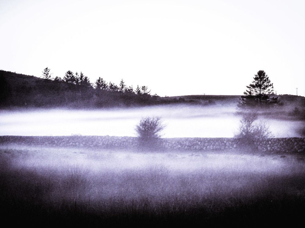 Фотография автора Michael Gault