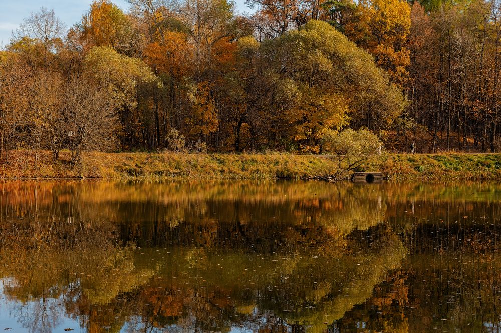 Осенняя меланхолия
