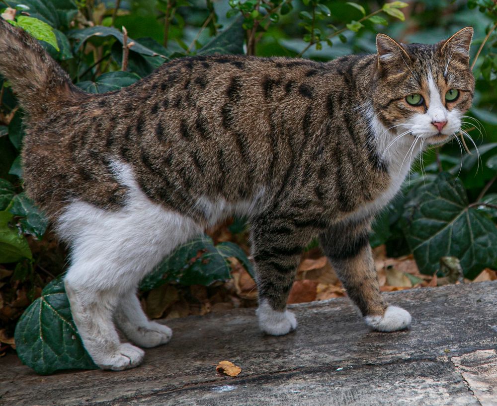 Photograph by Mohammadreza Majlesifar