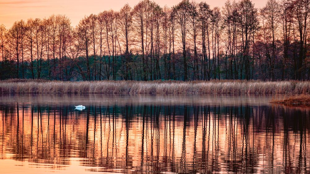 Photograph by Robert Krystosik