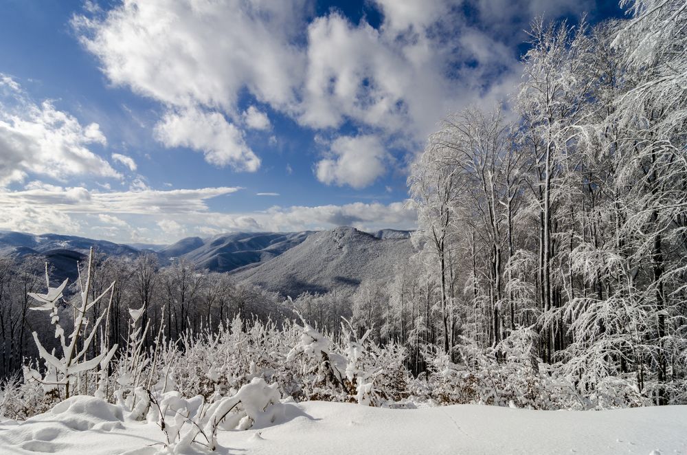 Photograph by Marek Kiraly