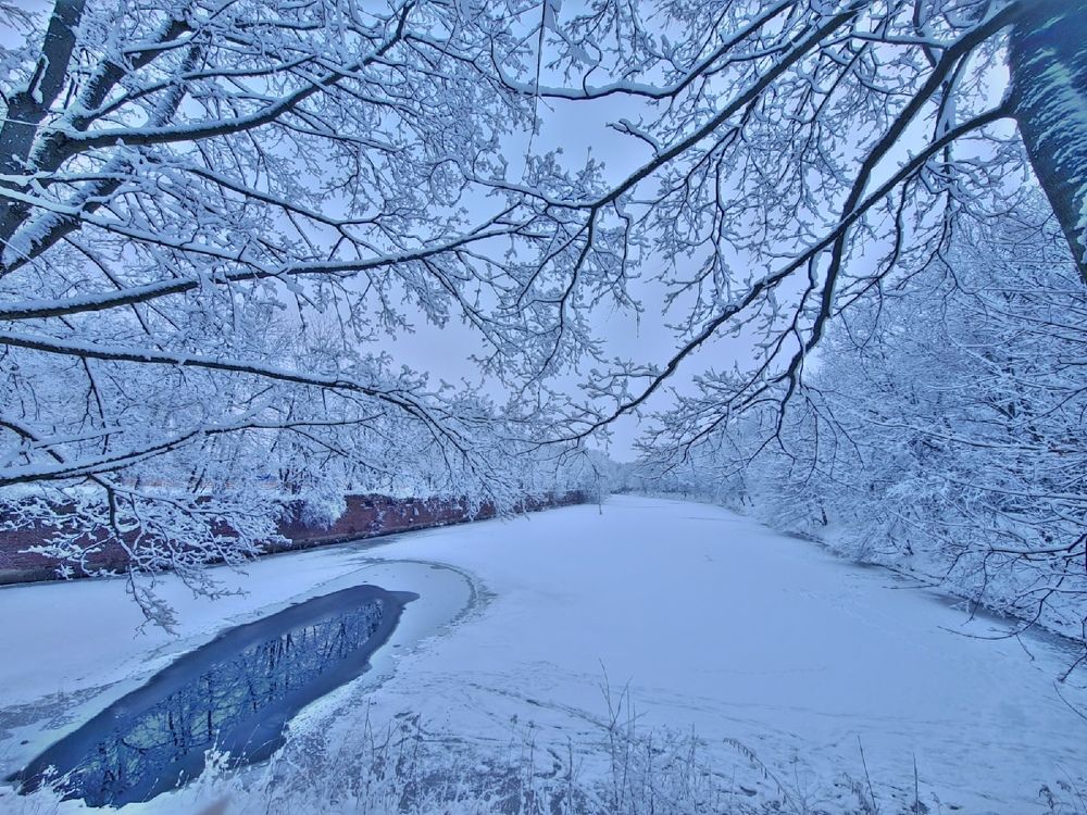 Photograph by Ирина Дубицкая