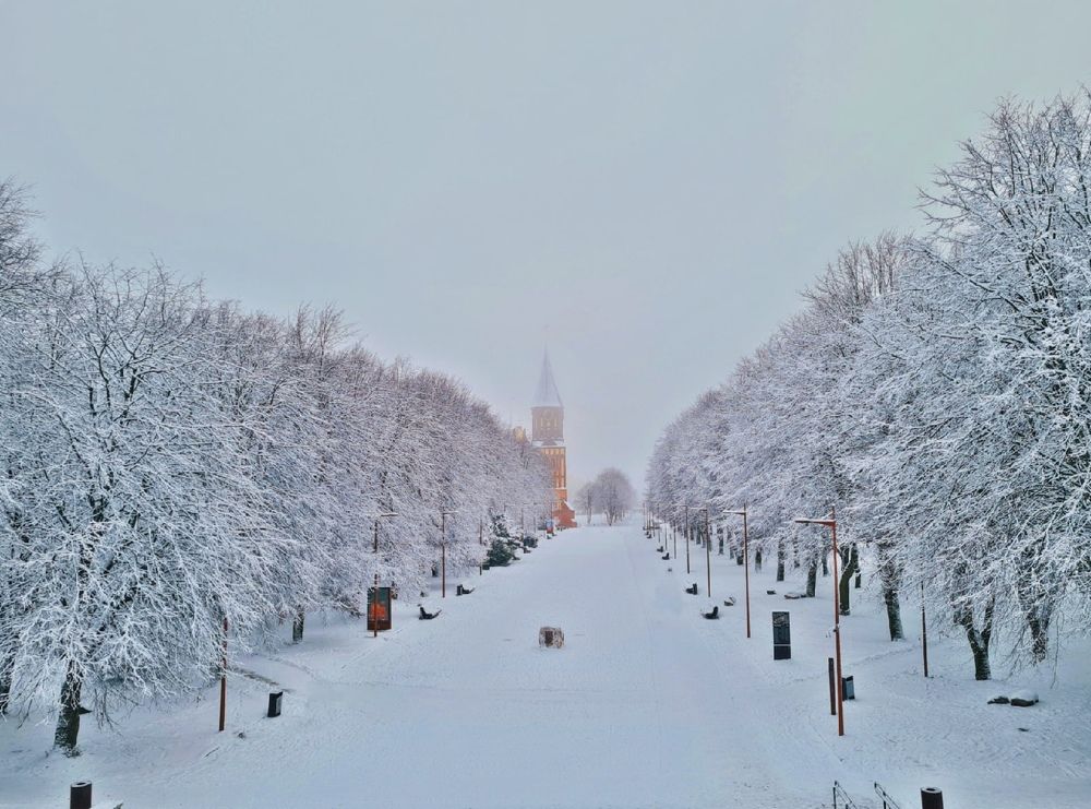 Photograph by Ирина Дубицкая