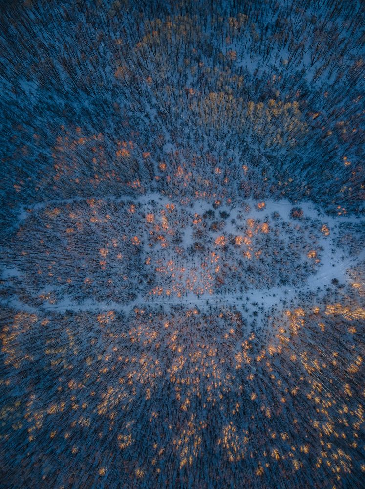 Photograph by Алексей Курочкин