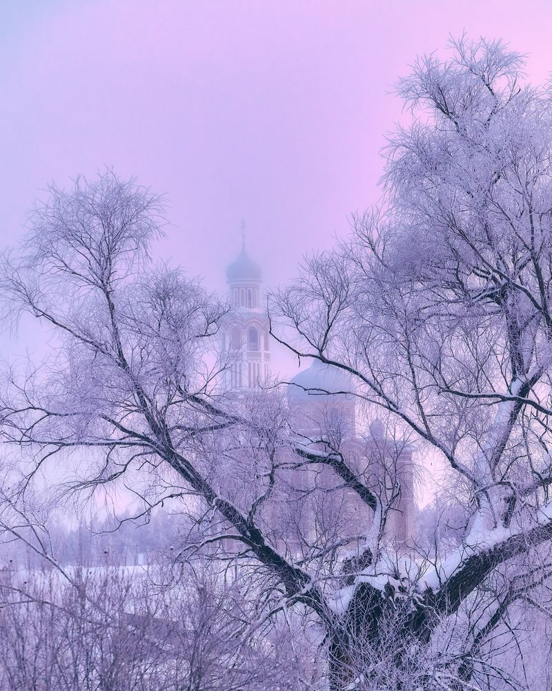 Photograph by Алексей Курочкин