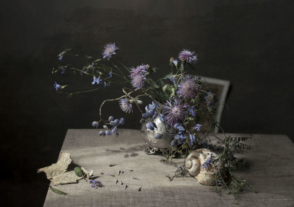 Фотография автора Коршак Елена