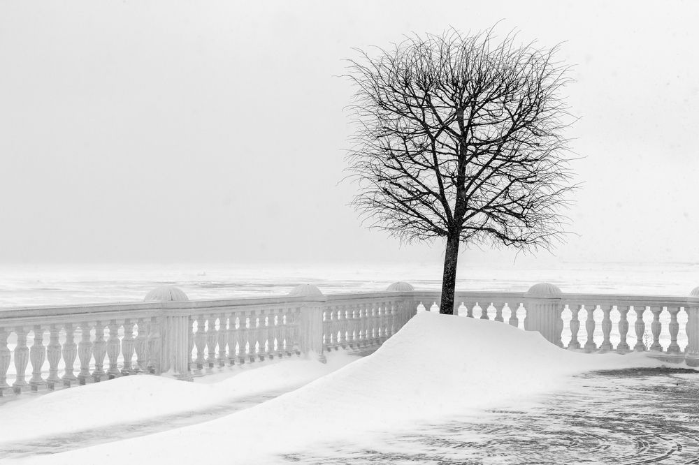 Photograph by Андрюс