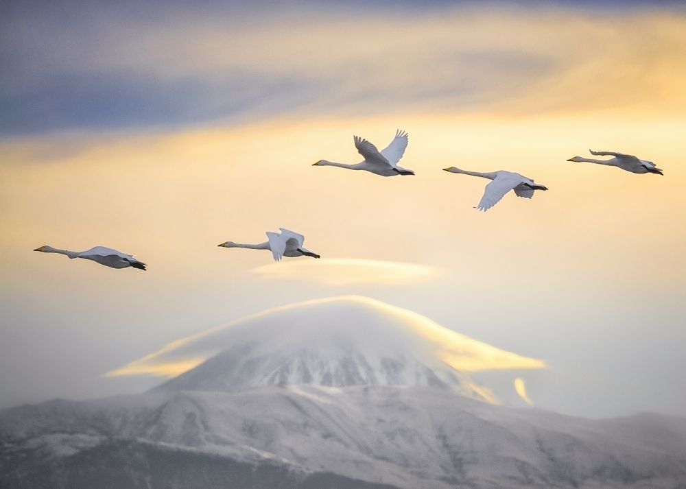 Photograph by Hadi Mohsentabar