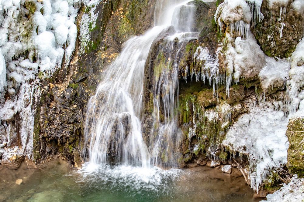 Photograph by Zsuzsa Décsi