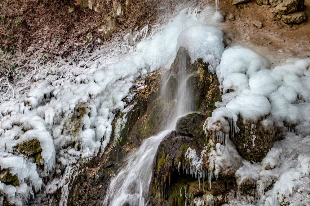 Photograph by Zsuzsa Décsi