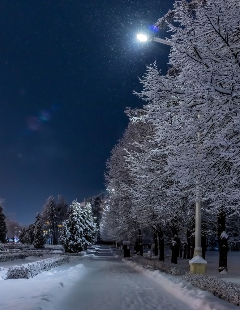 Фотография автора Роман