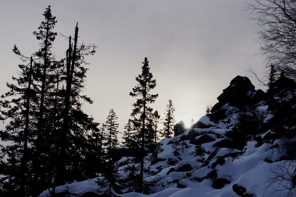 Photograph by Игорь Кравцов