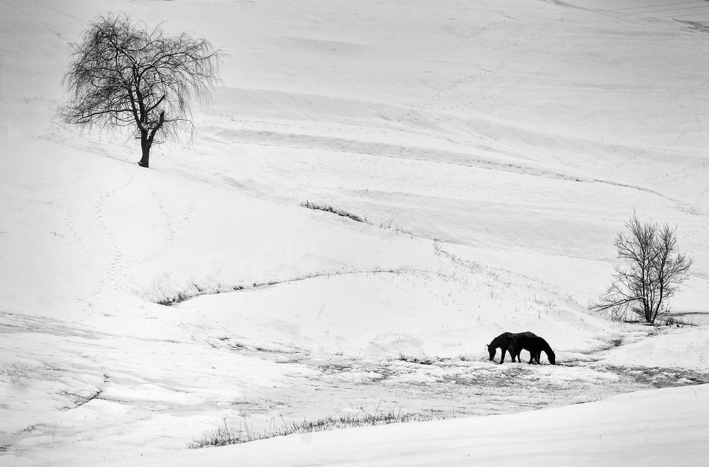 Photograph by Petya Lazarova