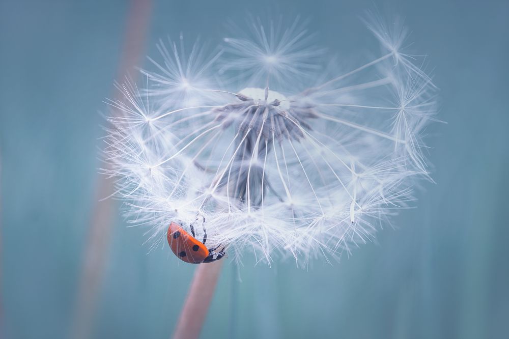 Photograph by Petya Lazarova