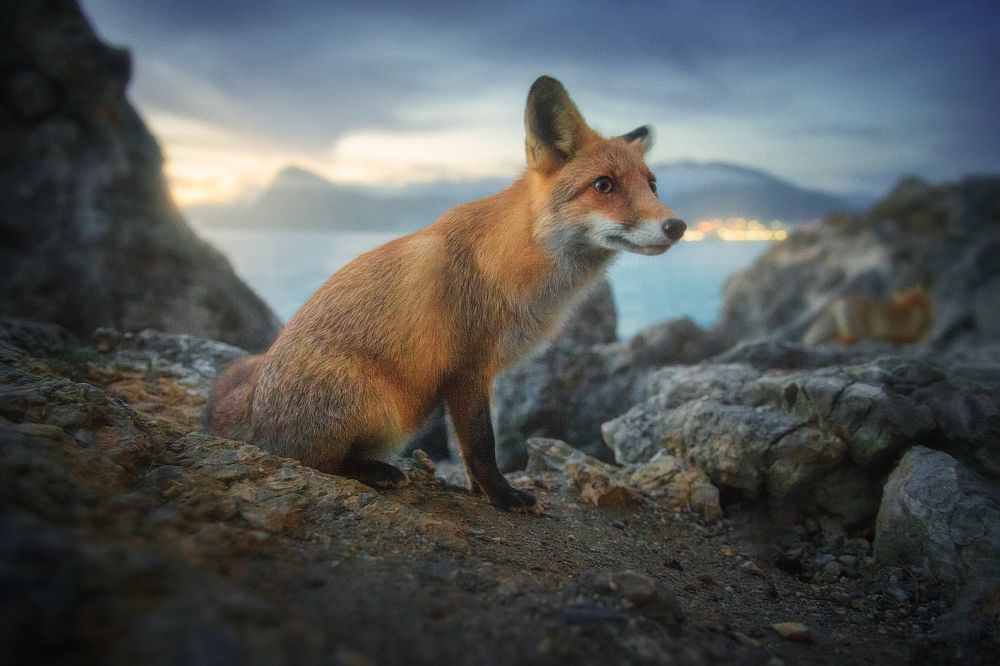 Photograph by Алексей Агеев