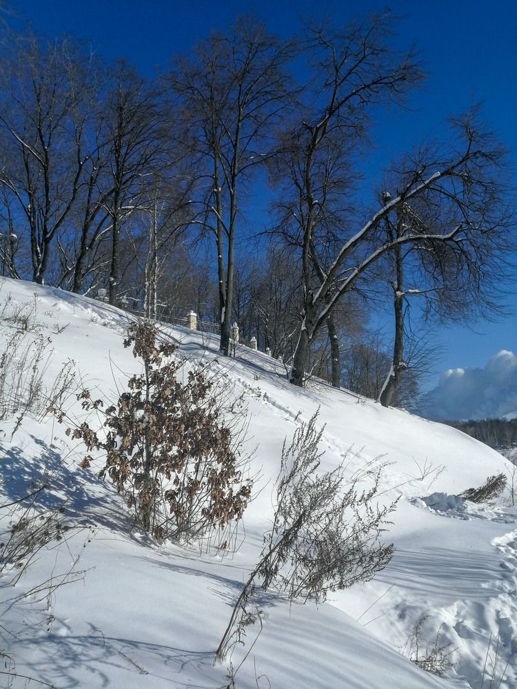 Зимний пейзаж