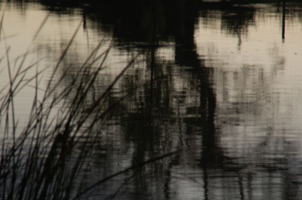 Фотография автора Ася Бабушкина