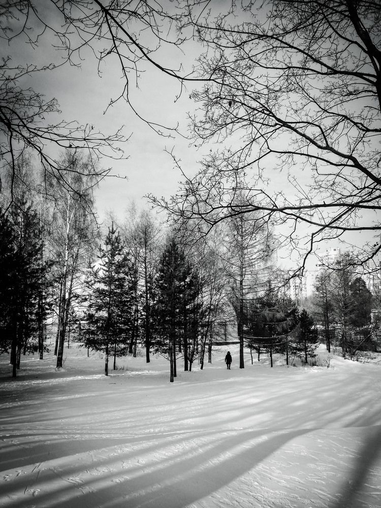 Photograph by Екатерина