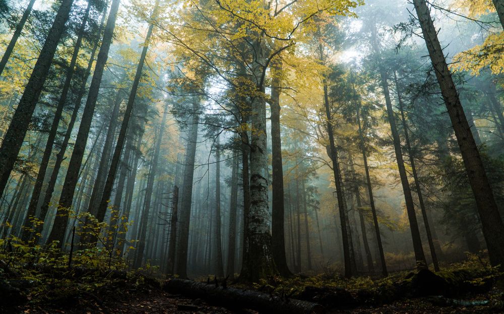 Photograph by Matei Mardare