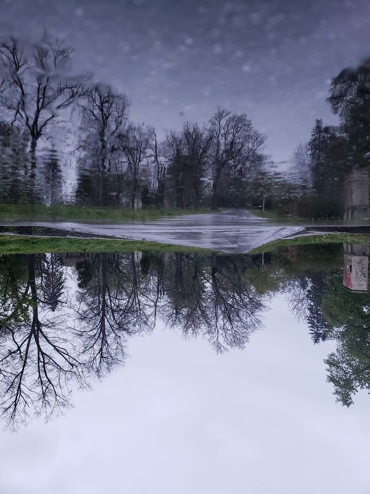 Дождливый день