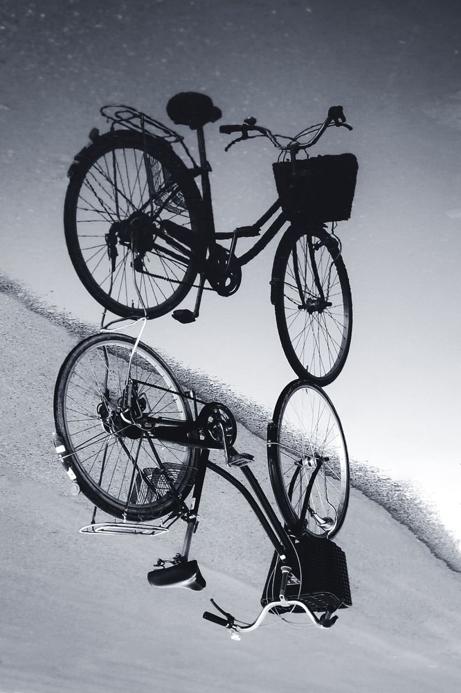 Photograph by Ahmad Shihab