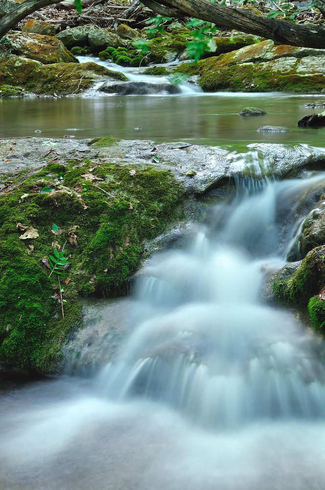 Фотография автора Анастасия
