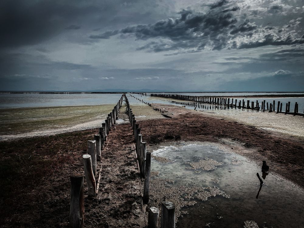 Photograph by Сергей