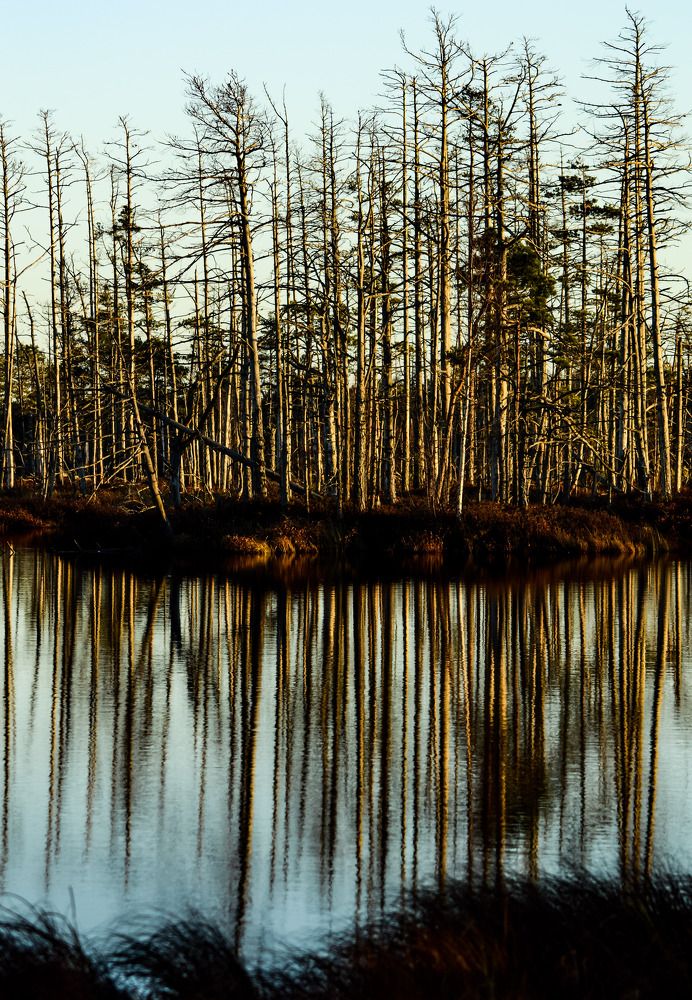 Photograph by Кристина Вингре