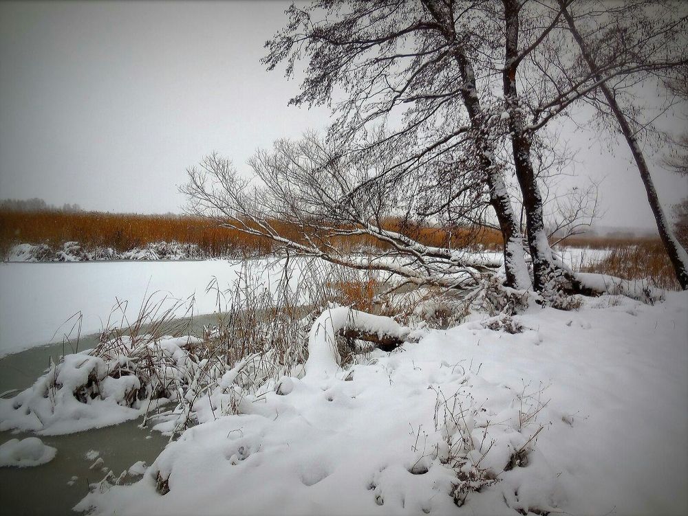 Фотография автора Павел Попов