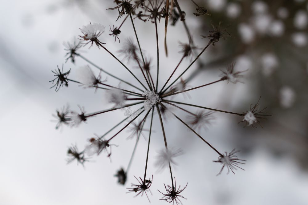 Photograph by Olga Smirnova