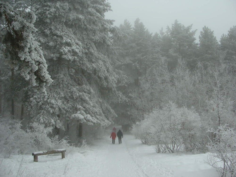 Фотография автора Павел Попов