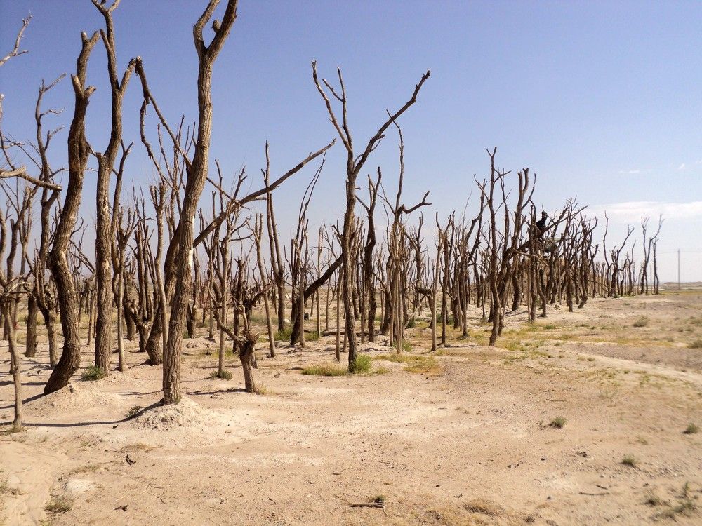 Photograph by Алексей Лаврентьев