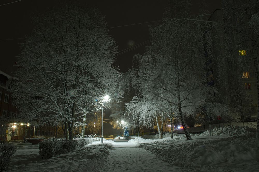 Photograph by 