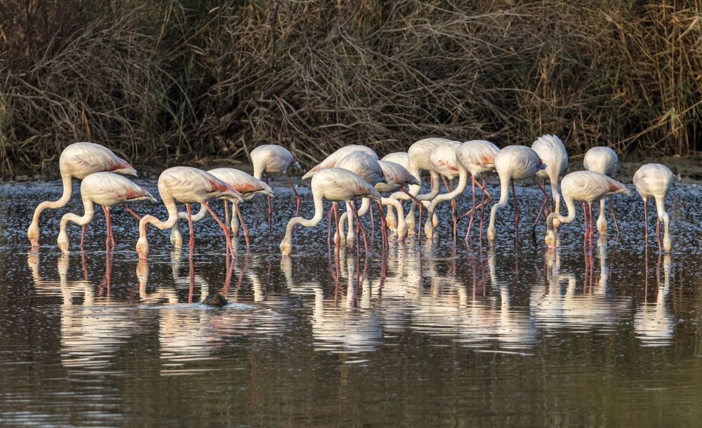 Photograph by Валентина Лопаткина