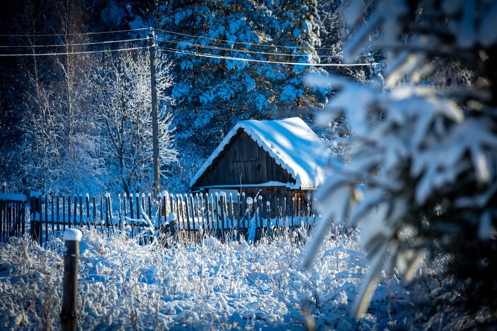 Фотография автора Виталий Зейфер