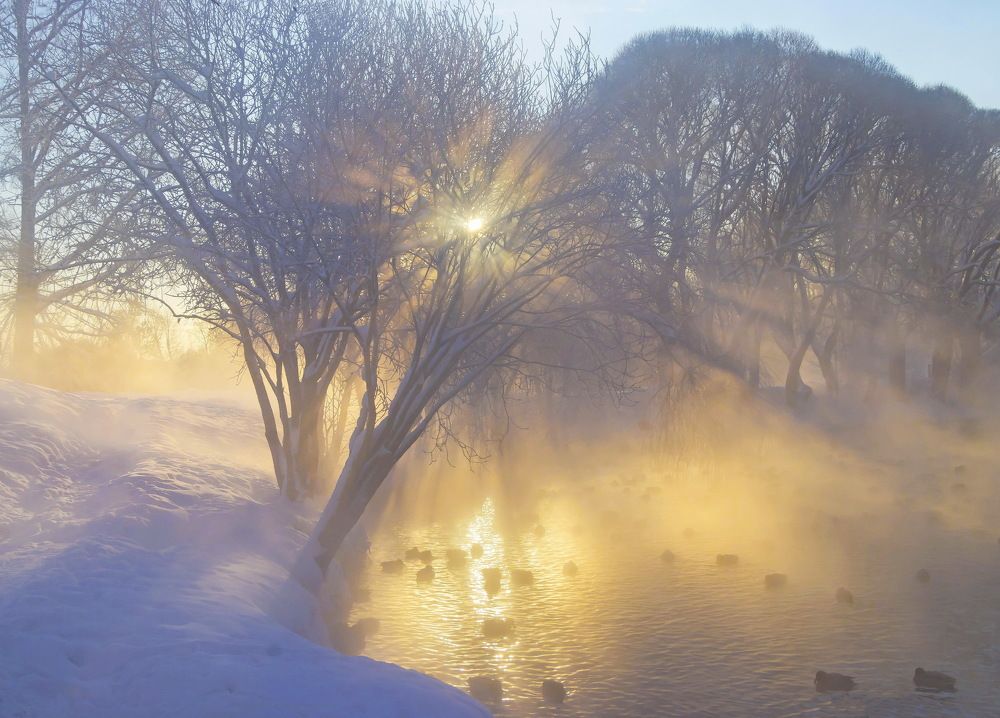 Морозный день