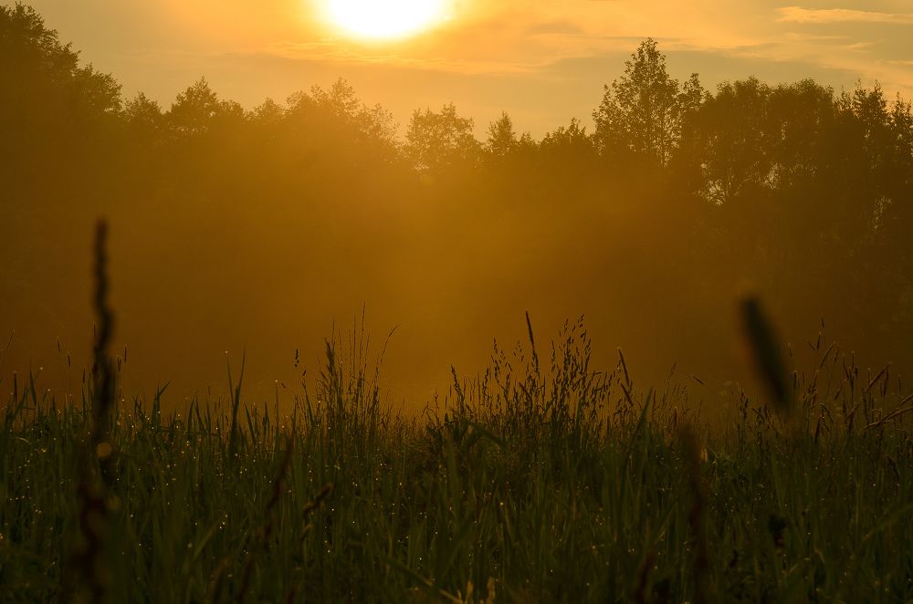 Photograph by Иван