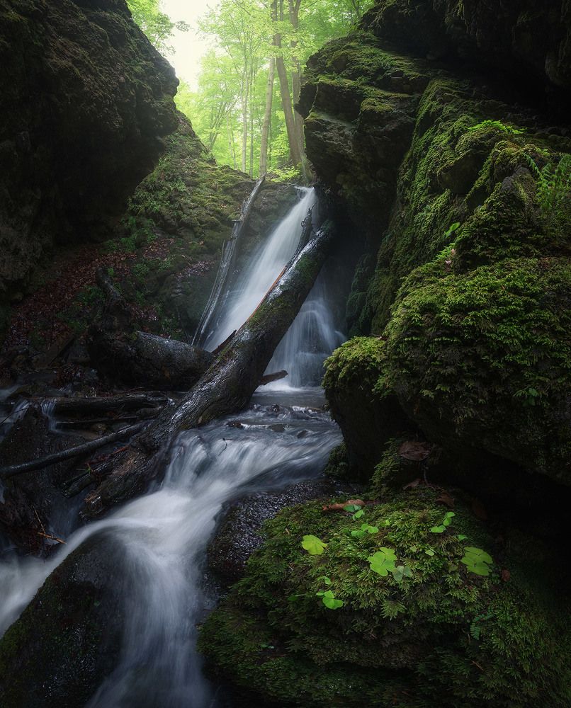 Photograph by Erik Baran