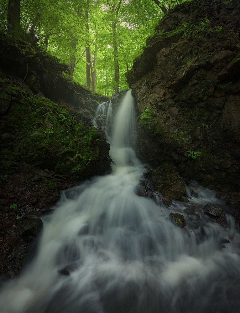 Photograph by Erik Baran