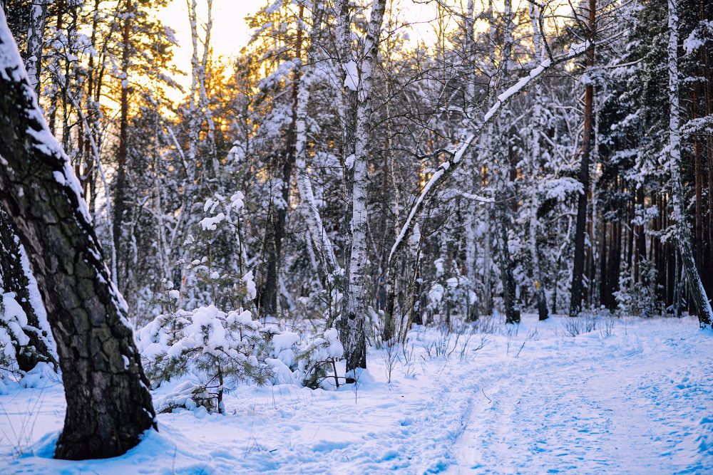 Photograph by Oleksii Smoliakov