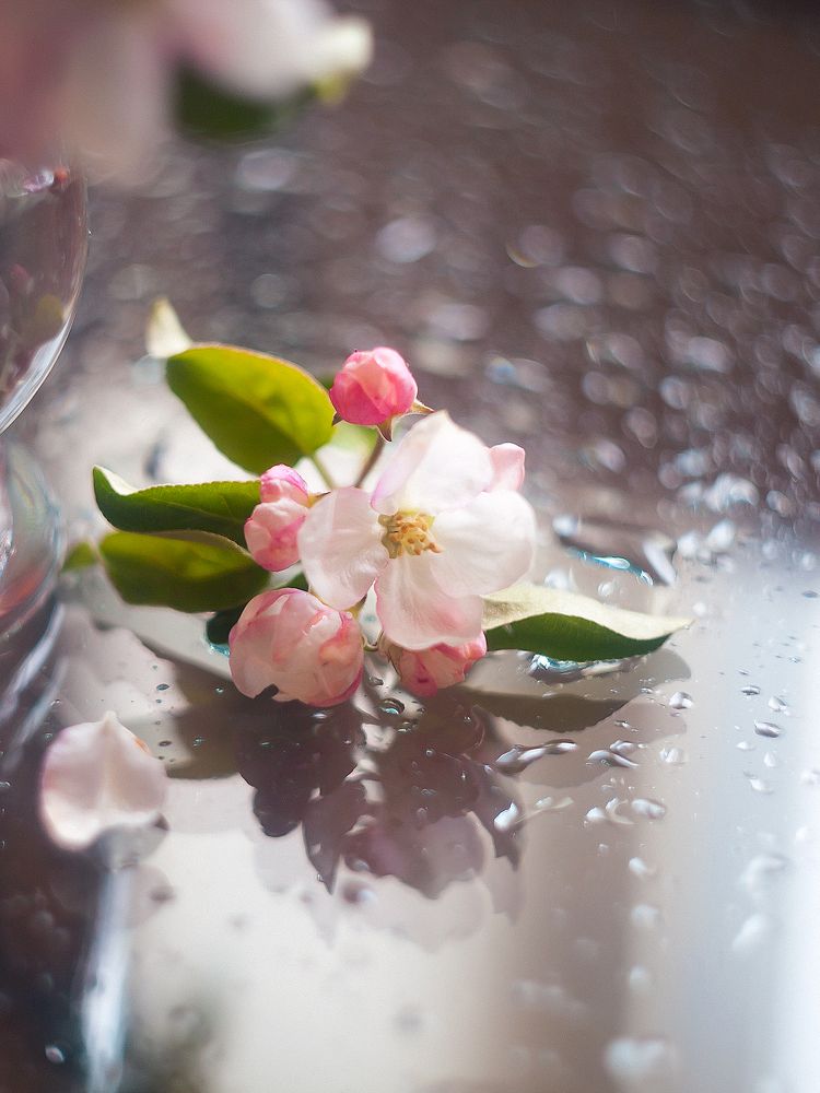 Фотография автора Наталья Ветошкина