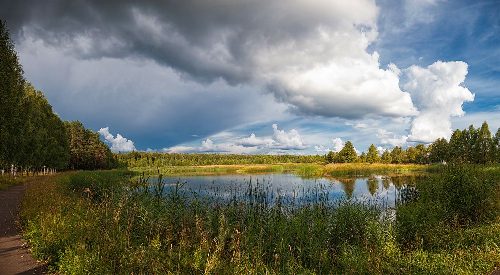 Фотография автора Наталья Ветошкина
