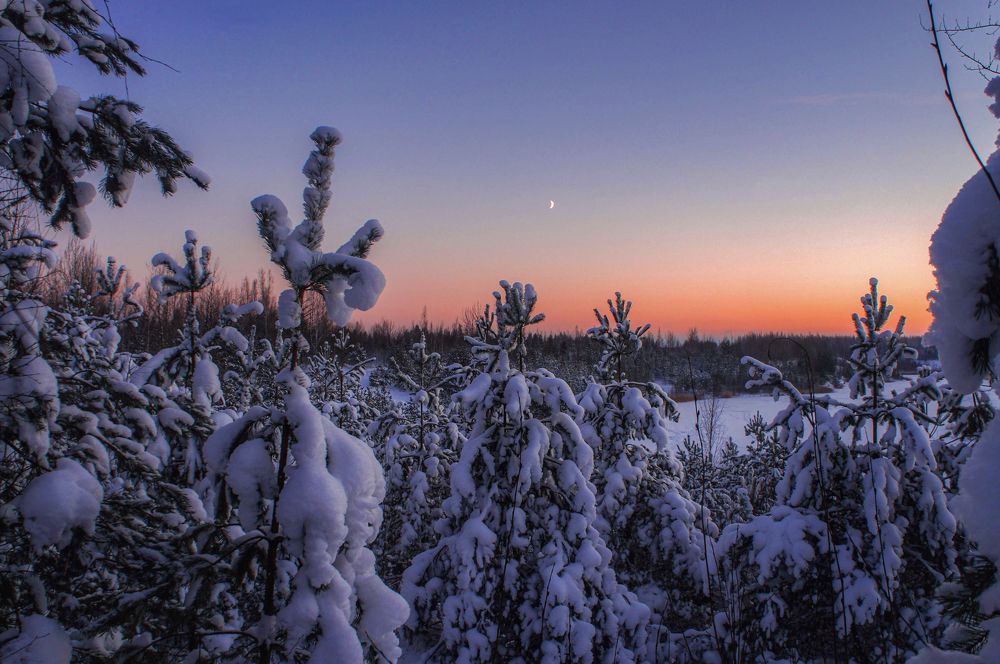 Фотография автора Юрий Тихонов