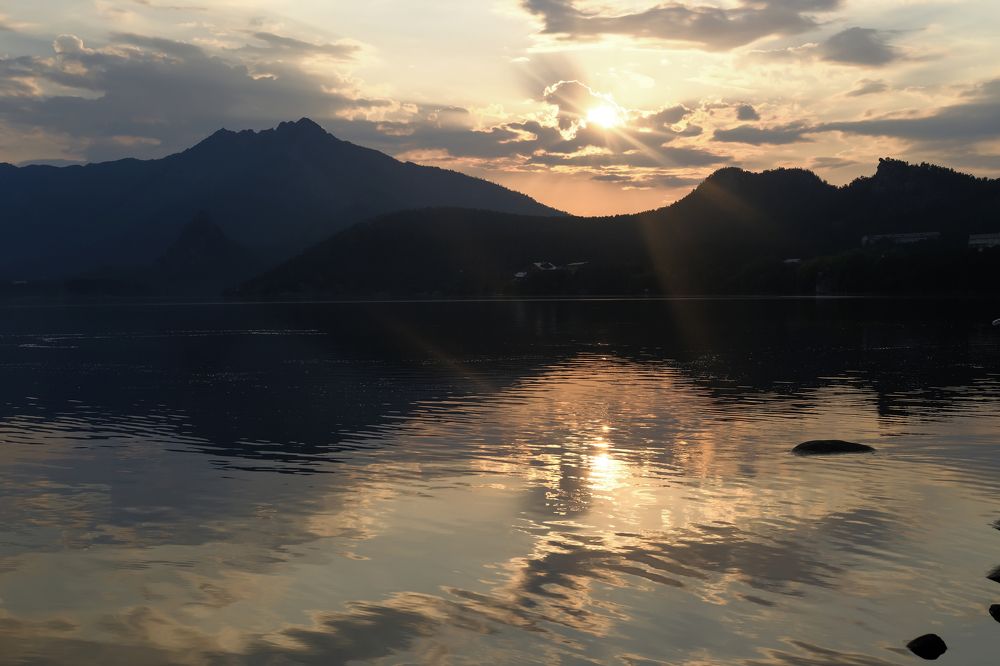 Фотография автора Елена