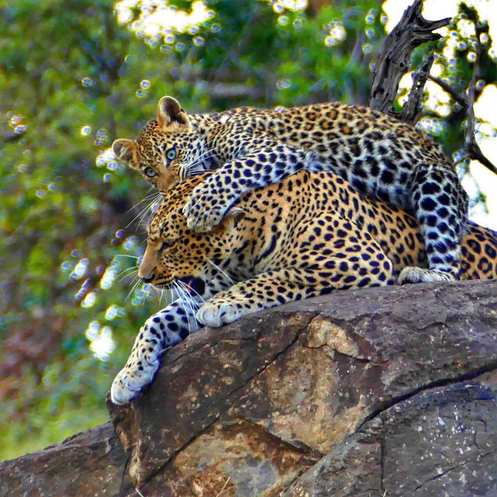 Photograph by Tatyana