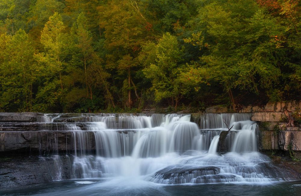 Photograph by  Jas Bassi